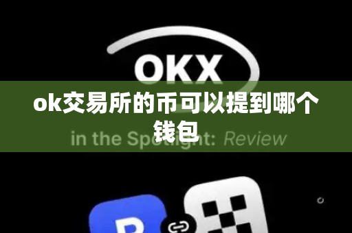 ok交易所的币可以提到哪个钱包