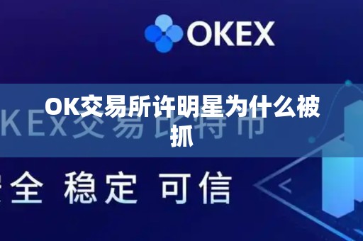 OK交易所许明星为什么被抓