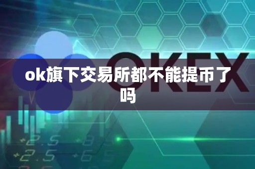 ok旗下交易所都不能提币了吗