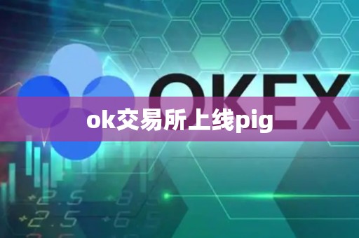 ok交易所上线pig