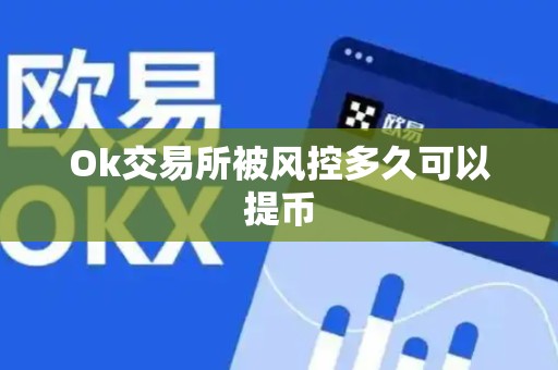 Ok交易所被风控多久可以提币