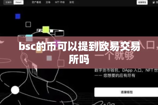 bsc的币可以提到欧易交易所吗