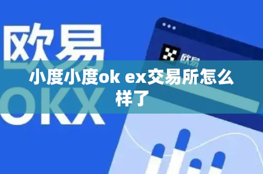 小度小度ok ex交易所怎么样了